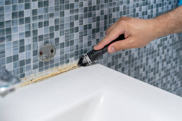 Best Mold Testing  in Zapata, TX