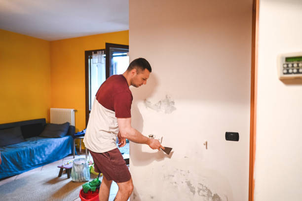 Best Water Damage Restoration  in Zapata, TX